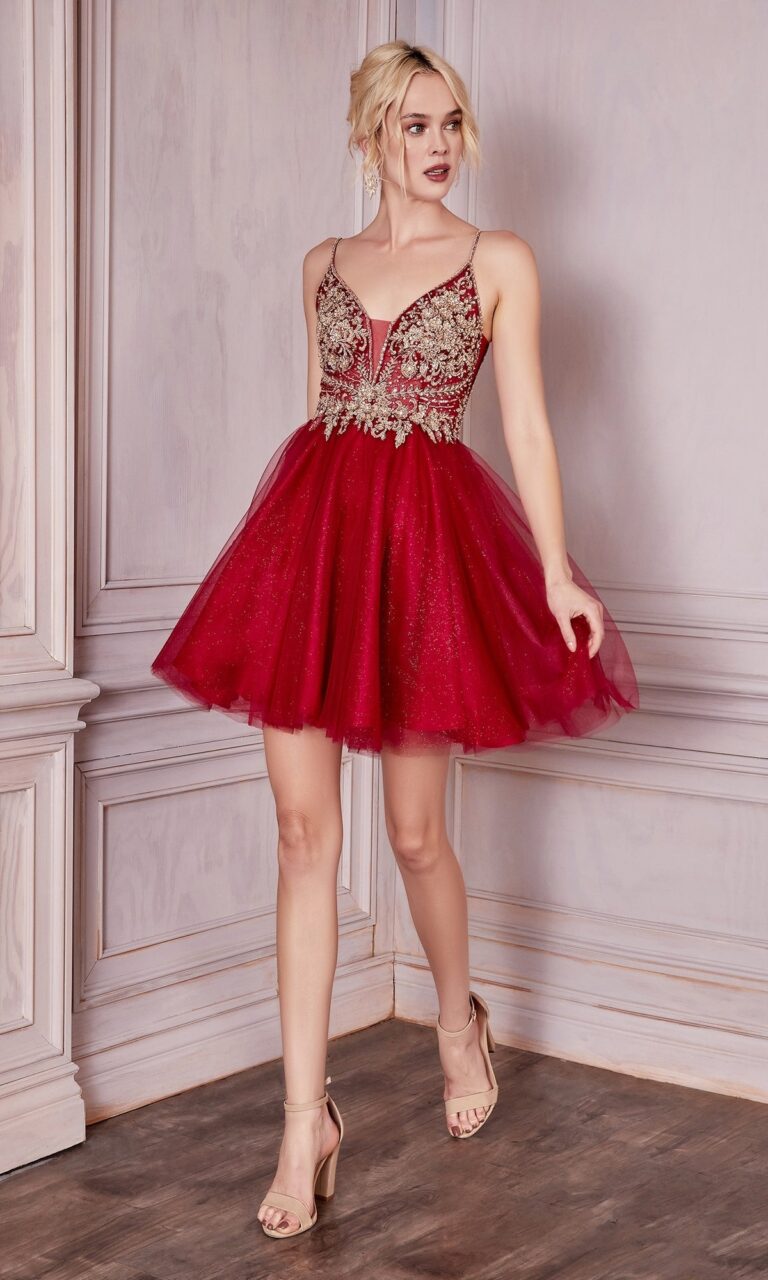 a-line-homecoming-dress-cd0190
